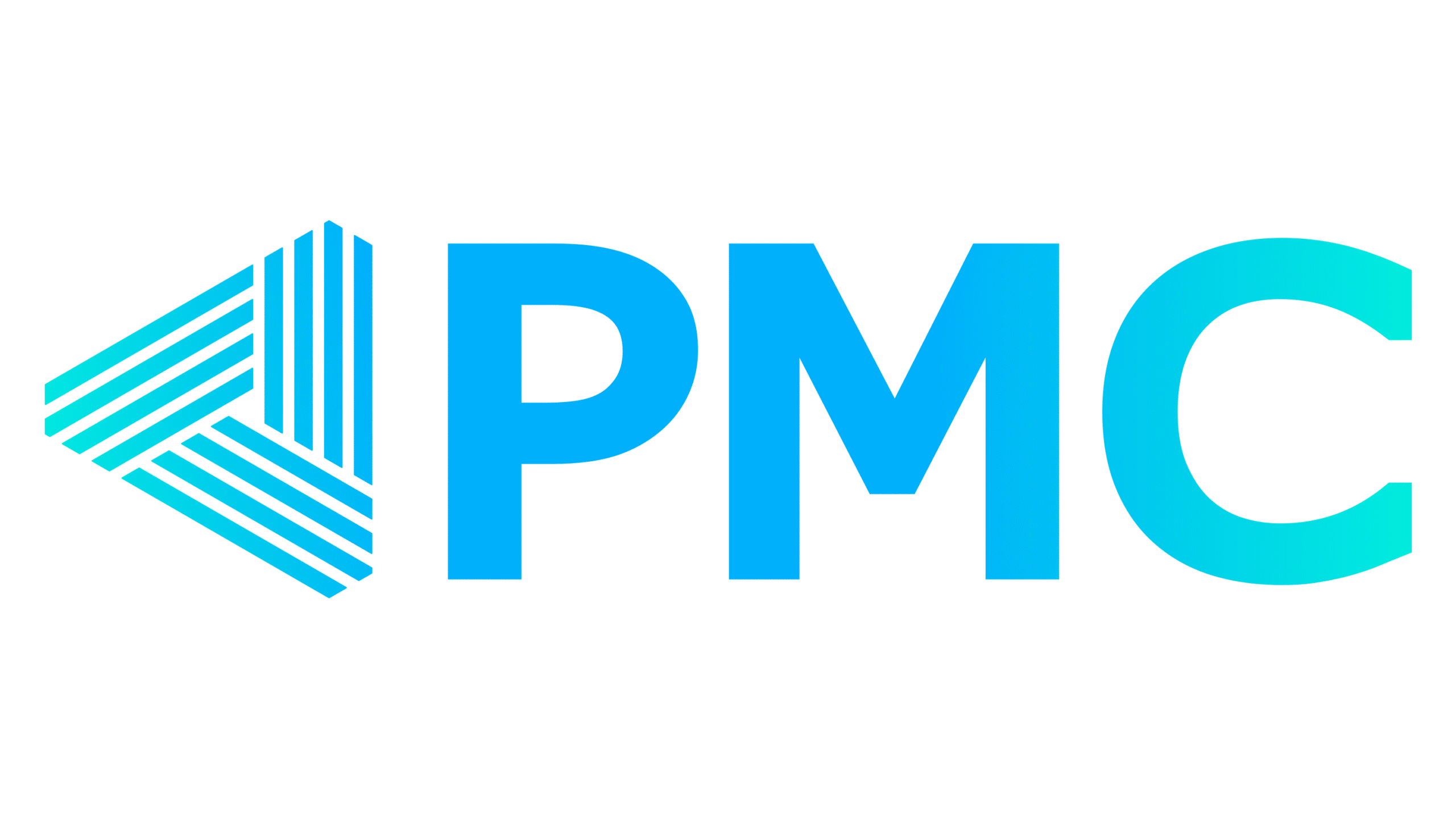 logo without slogan